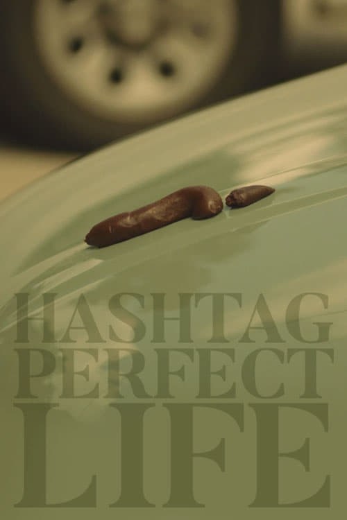 Poster de HASHTAG PERFECT LIFE