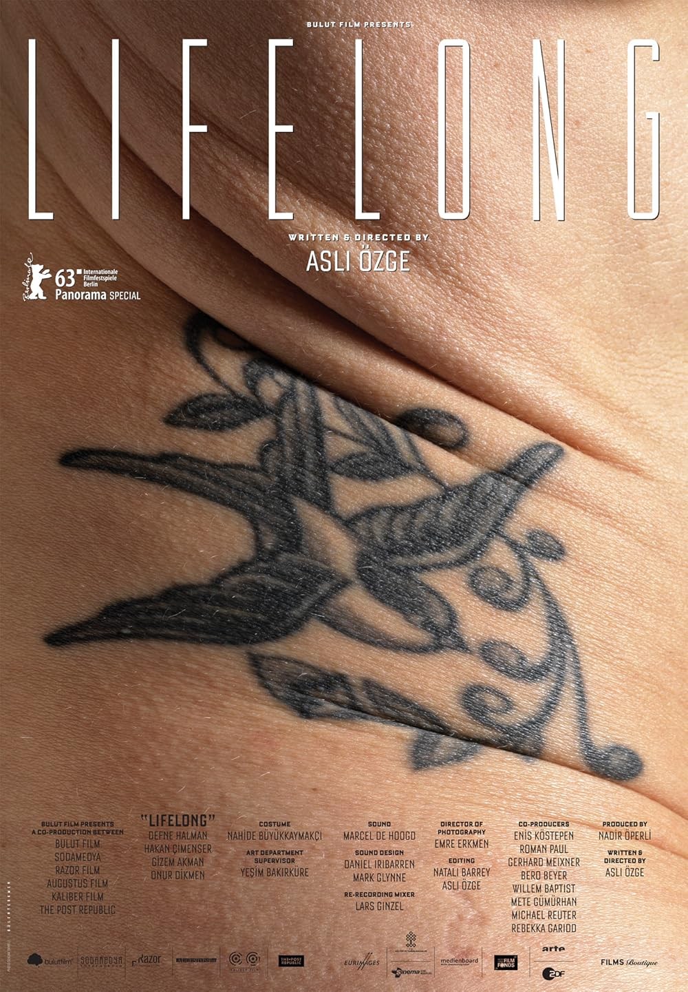 Poster de HAYATBOYU