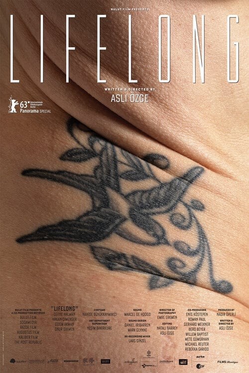Poster de HAYATBOYU