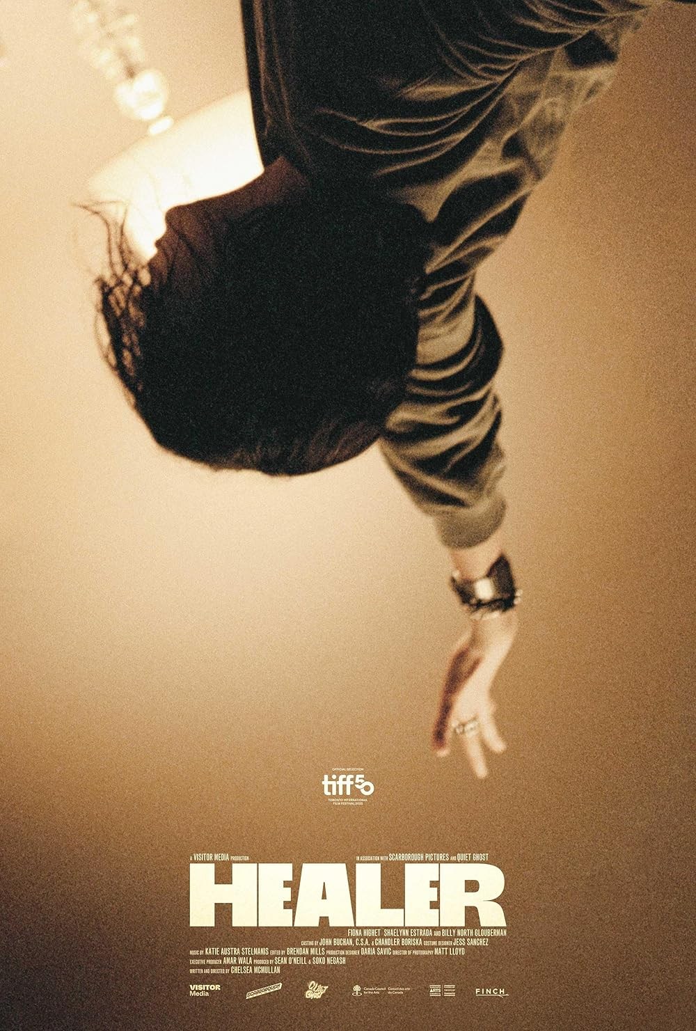 Poster de HEALER