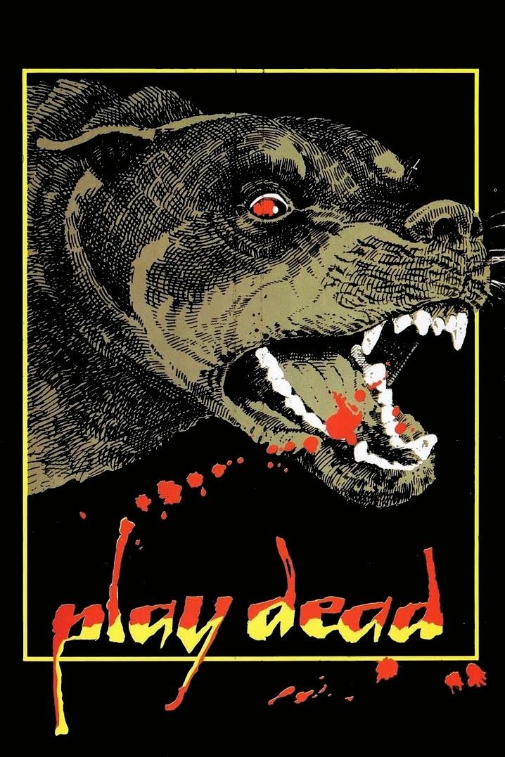 Poster de HECHIZOS DIABÓLICOS en inglés
