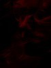 Hellspawn