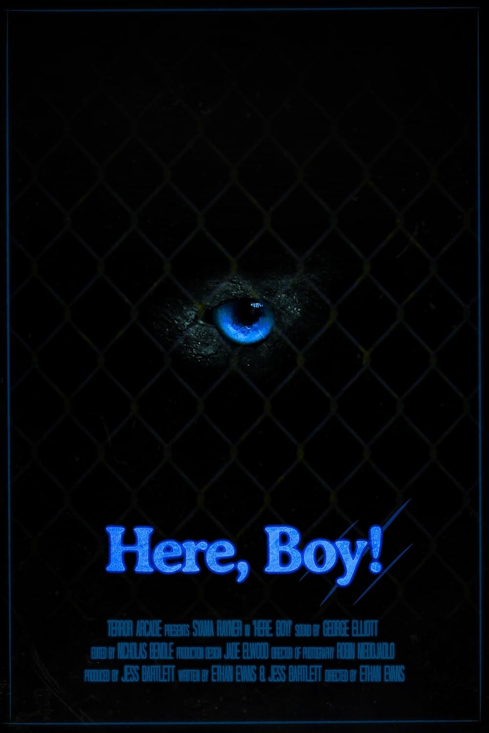 Poster de HERE, BOY!
