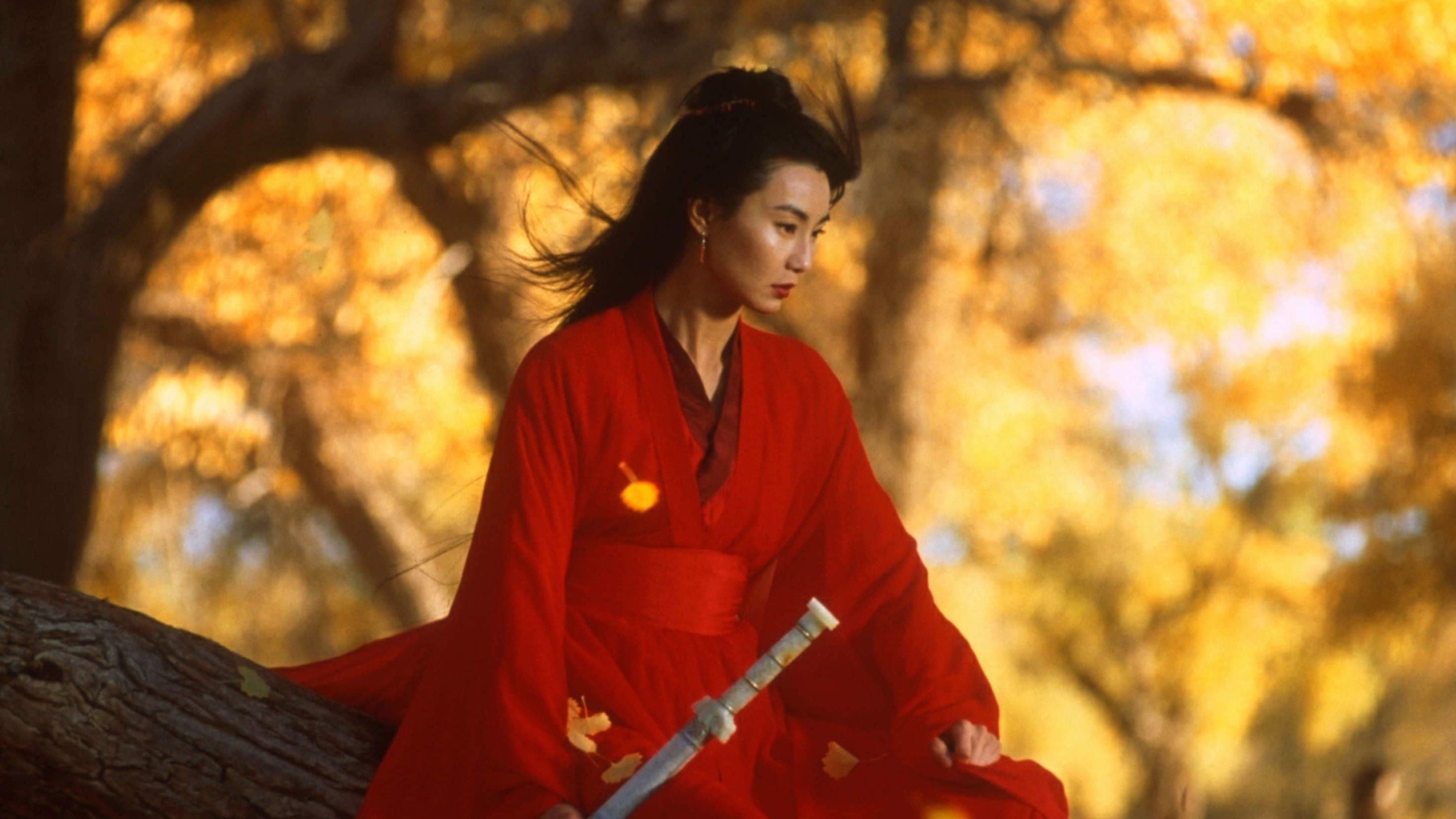 Foto de HERO DE ZHANG YIMOU
