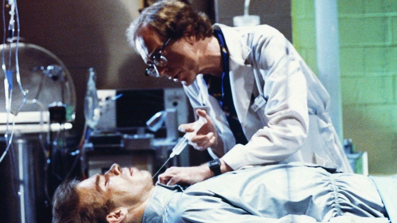 Foto de HIBERNADO VIVO