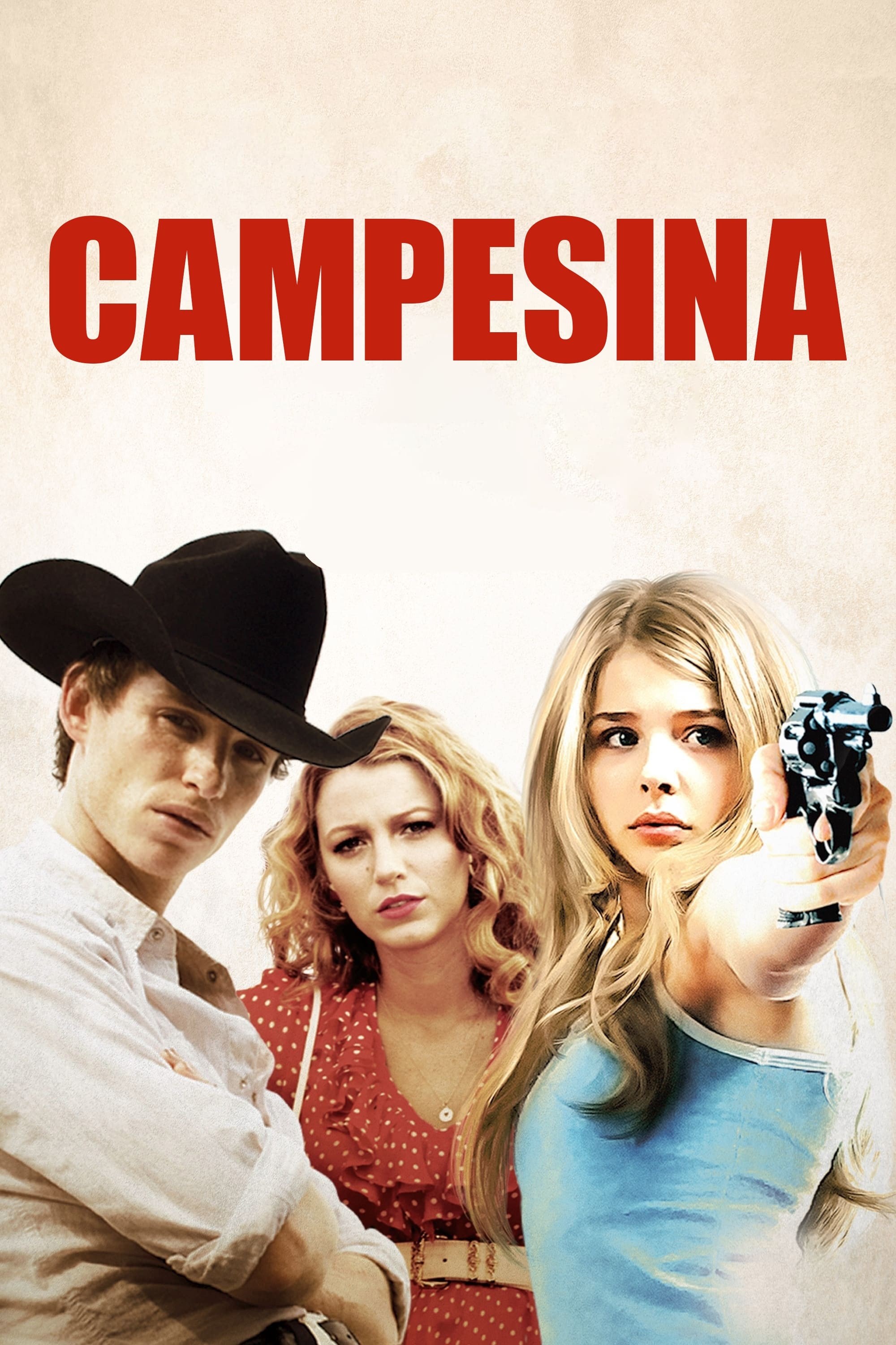 Poster de HICK en español