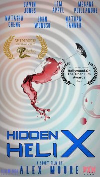Hidden Helix
