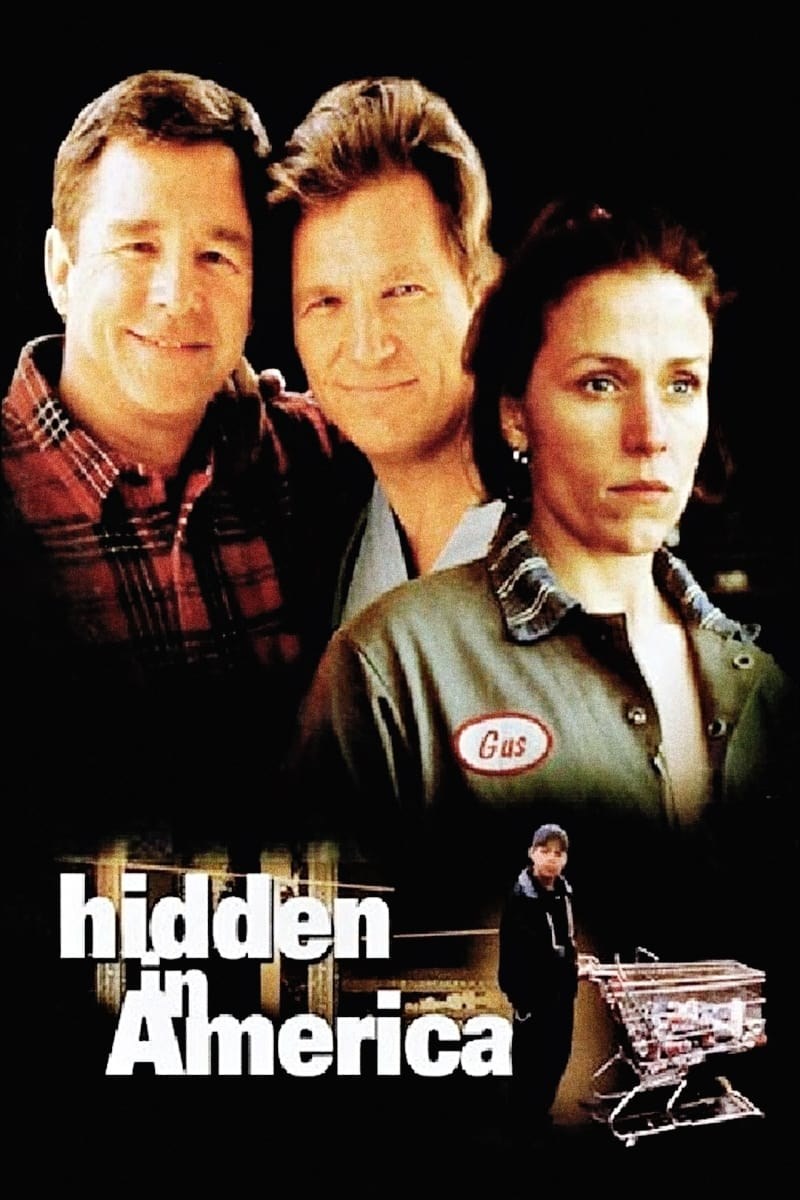 Poster de HIDDEN IN AMERICA en inglés