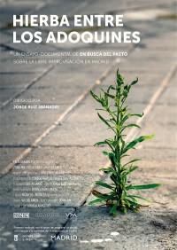 Hierba entre los adoquines