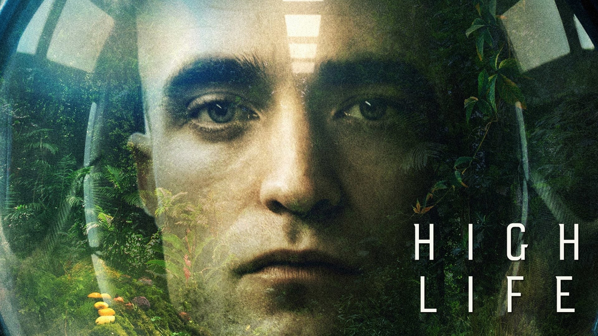 Foto de HIGH LIFE