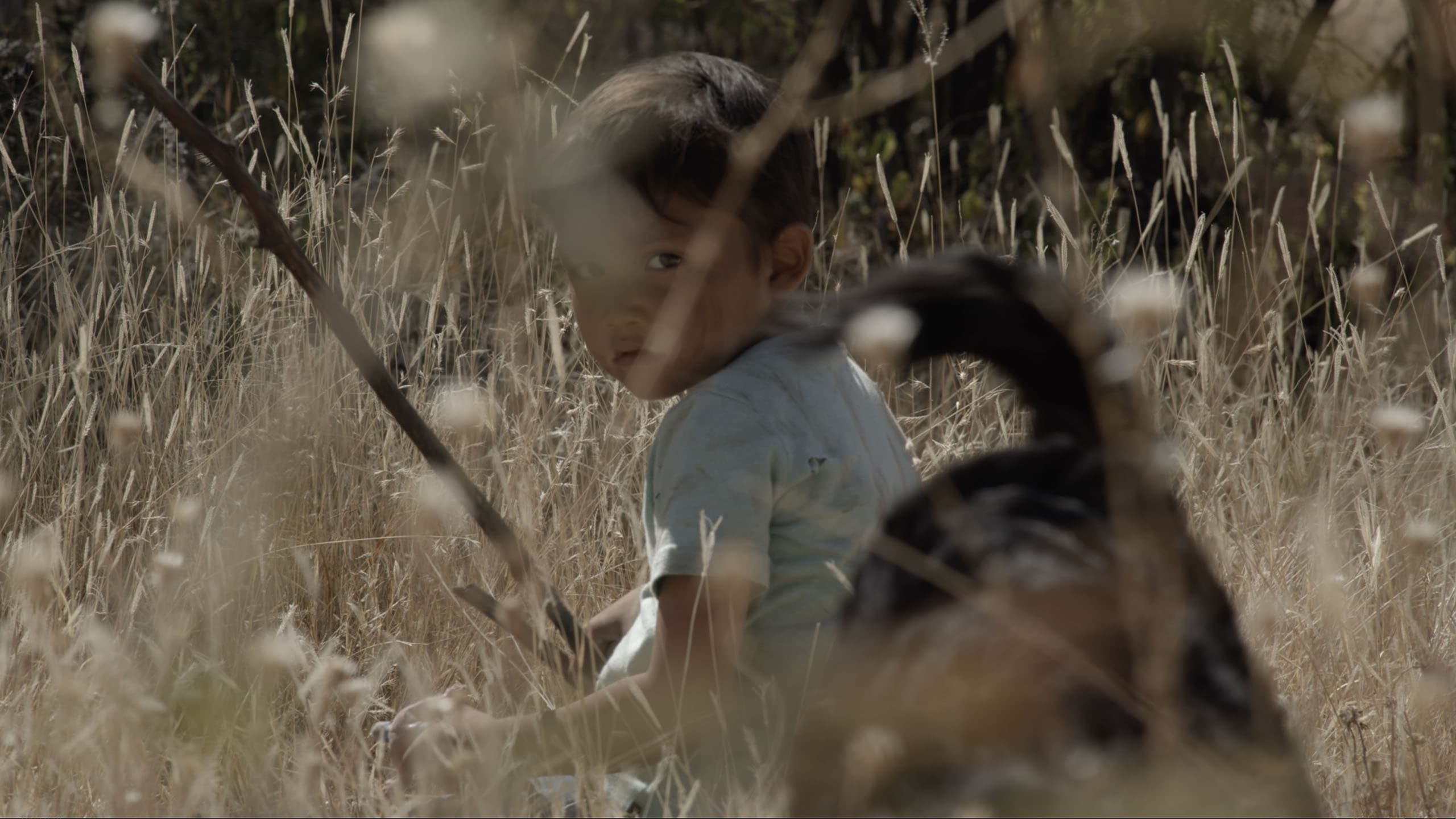Foto de HIJO DE SICARIO