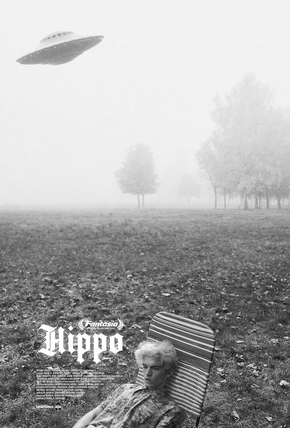 Poster de HIPPO