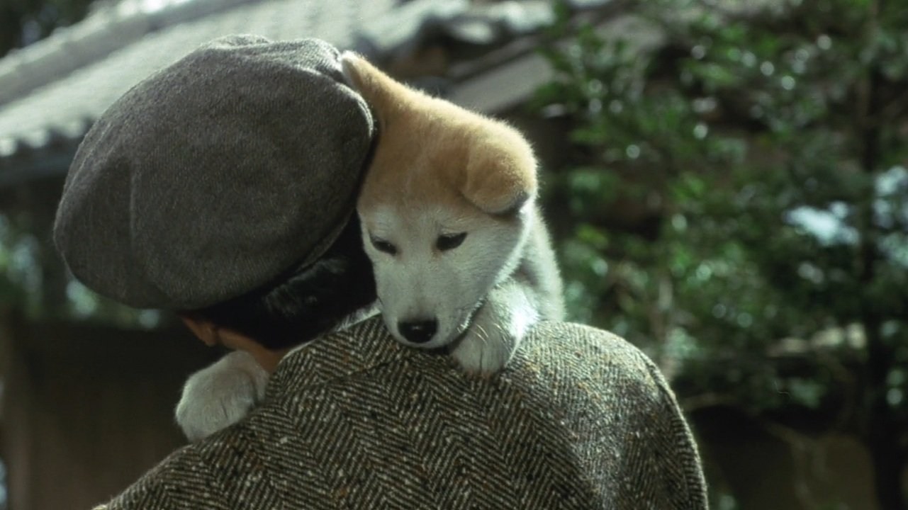 Foto de HISTORIA DE HACHIKO