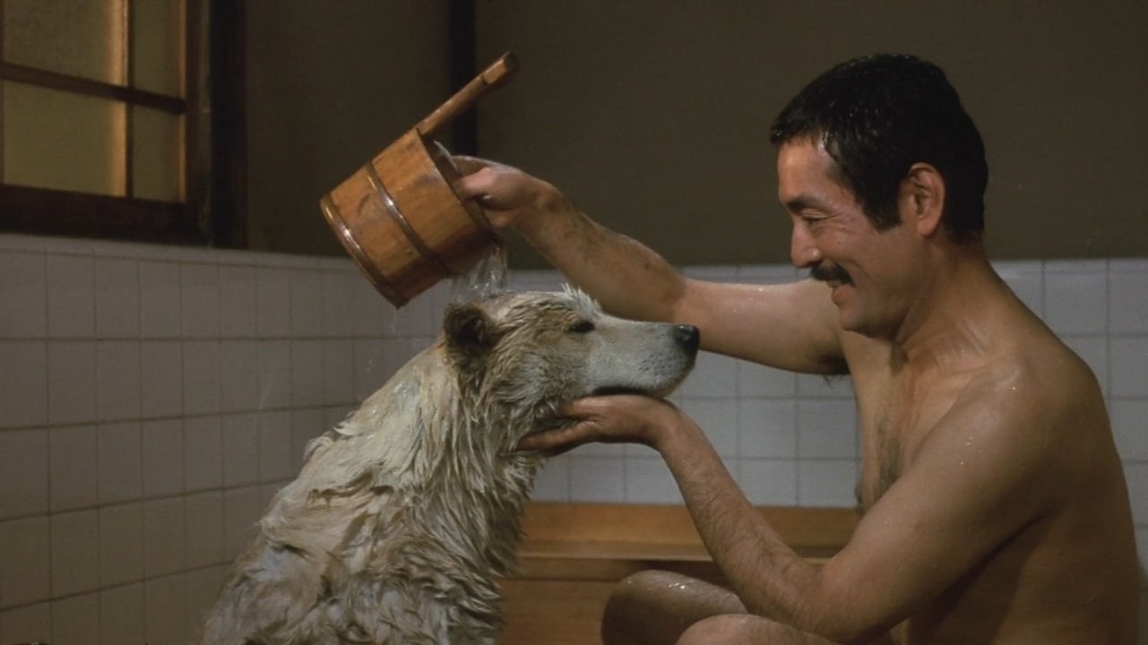 Foto de HISTORIA DE HACHIKO