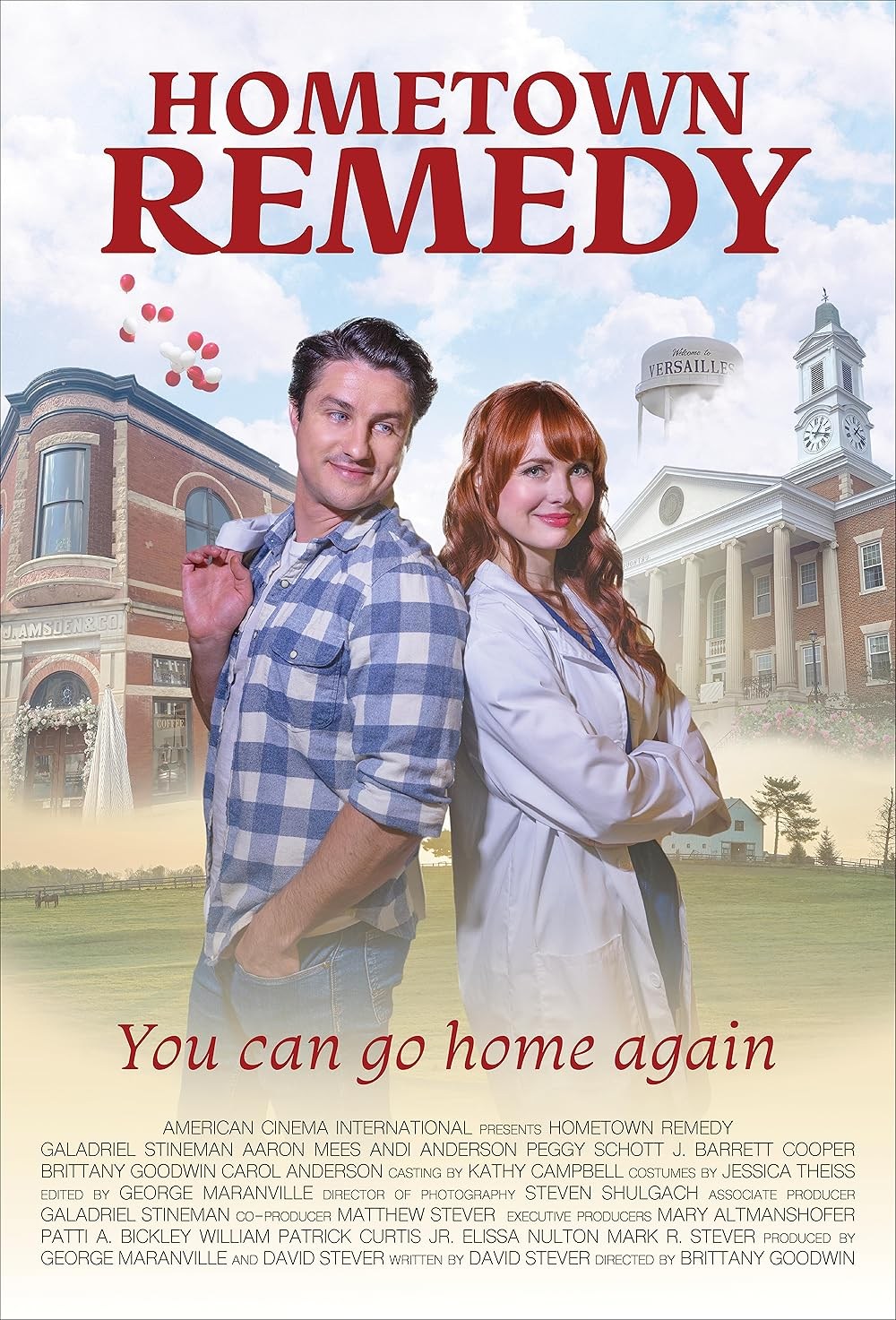 Poster de HOMETOWN REMEDY
