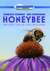 Honeybee