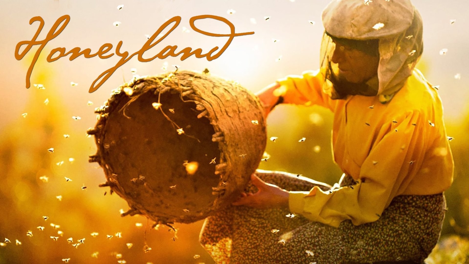 Foto de HONEYLAND