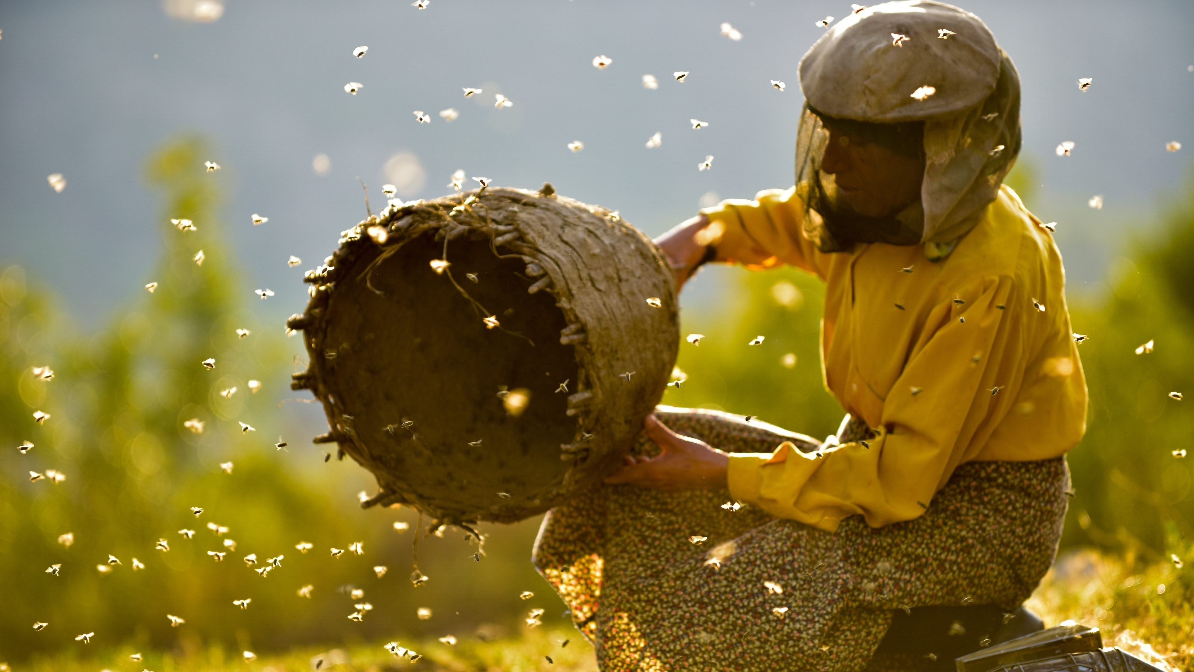 Foto de HONEYLAND