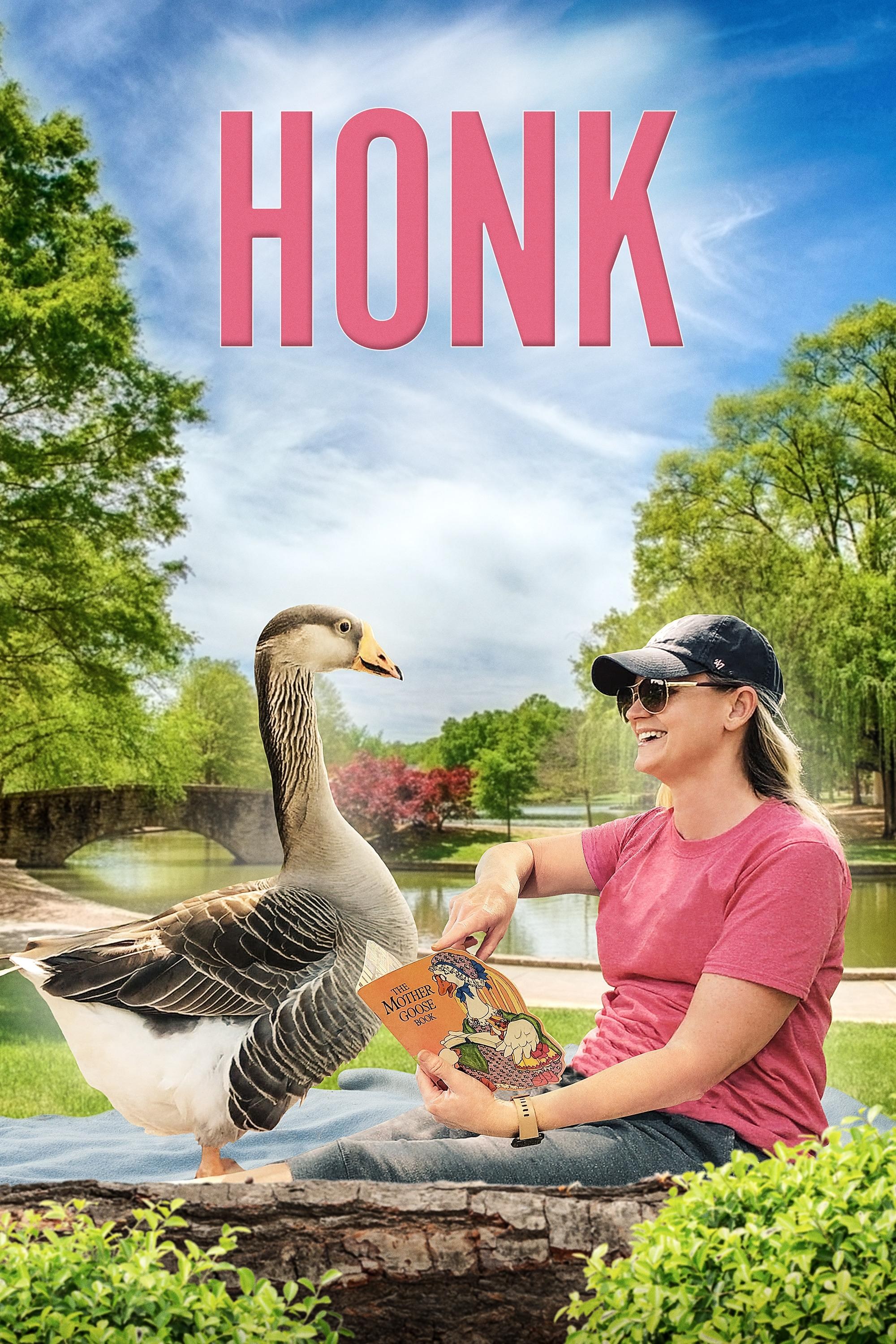 Poster de HONK en inglés