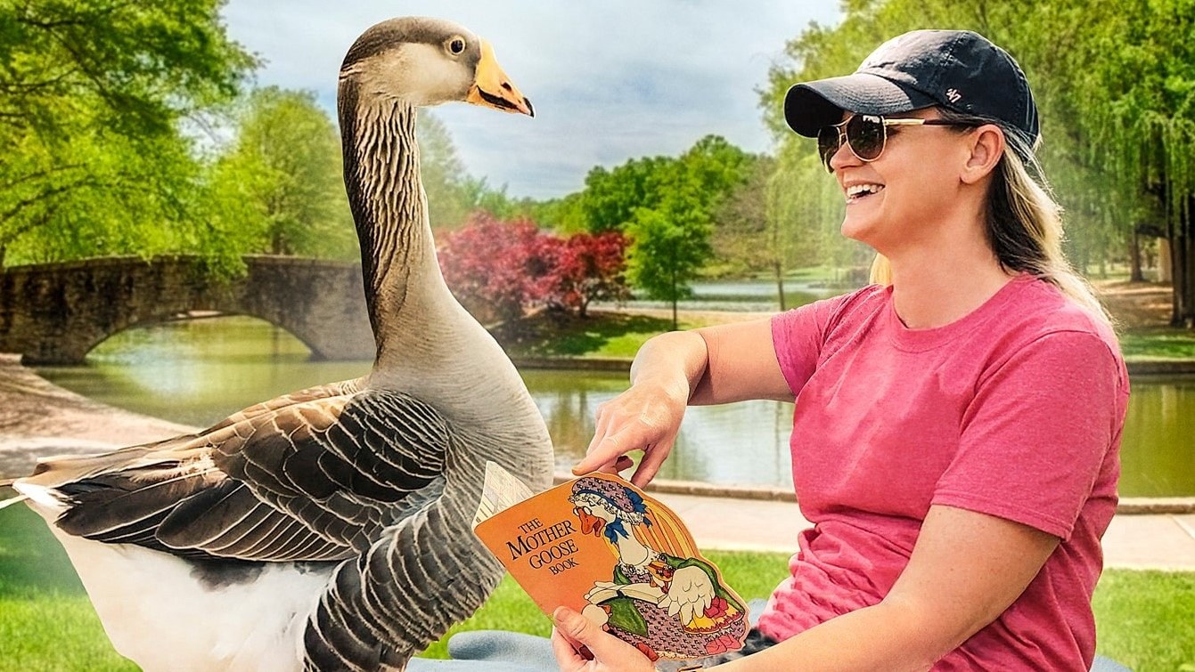 Foto de HONK