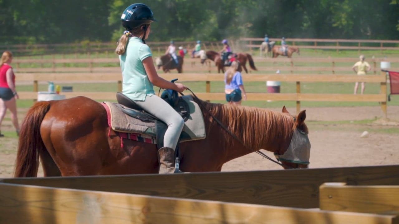 Foto de HORSE CAMP: A LOVE TAIL
