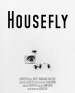 Housefly