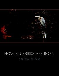 How Bluebirds Are Born