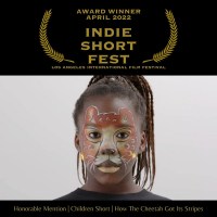 How the Cheetah Got its Stripes