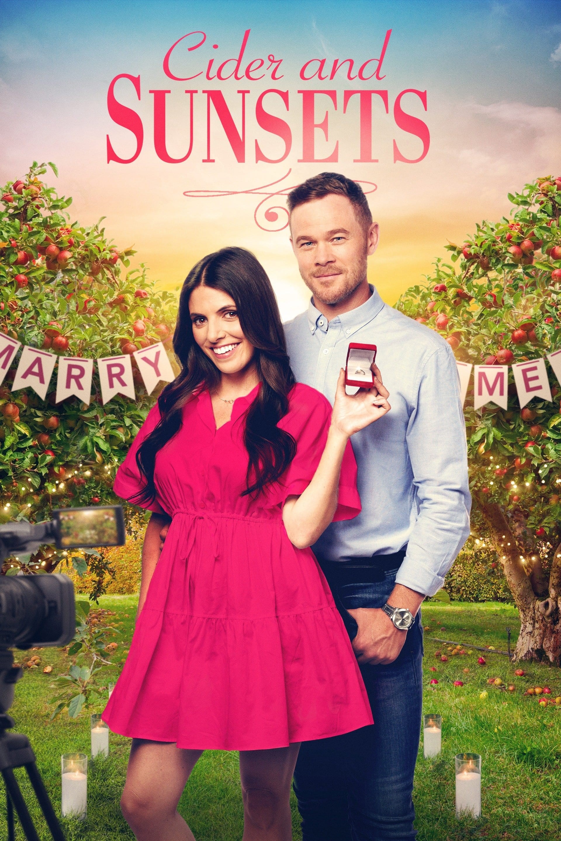 Poster de HOW TO FIND FOREVER en inglés