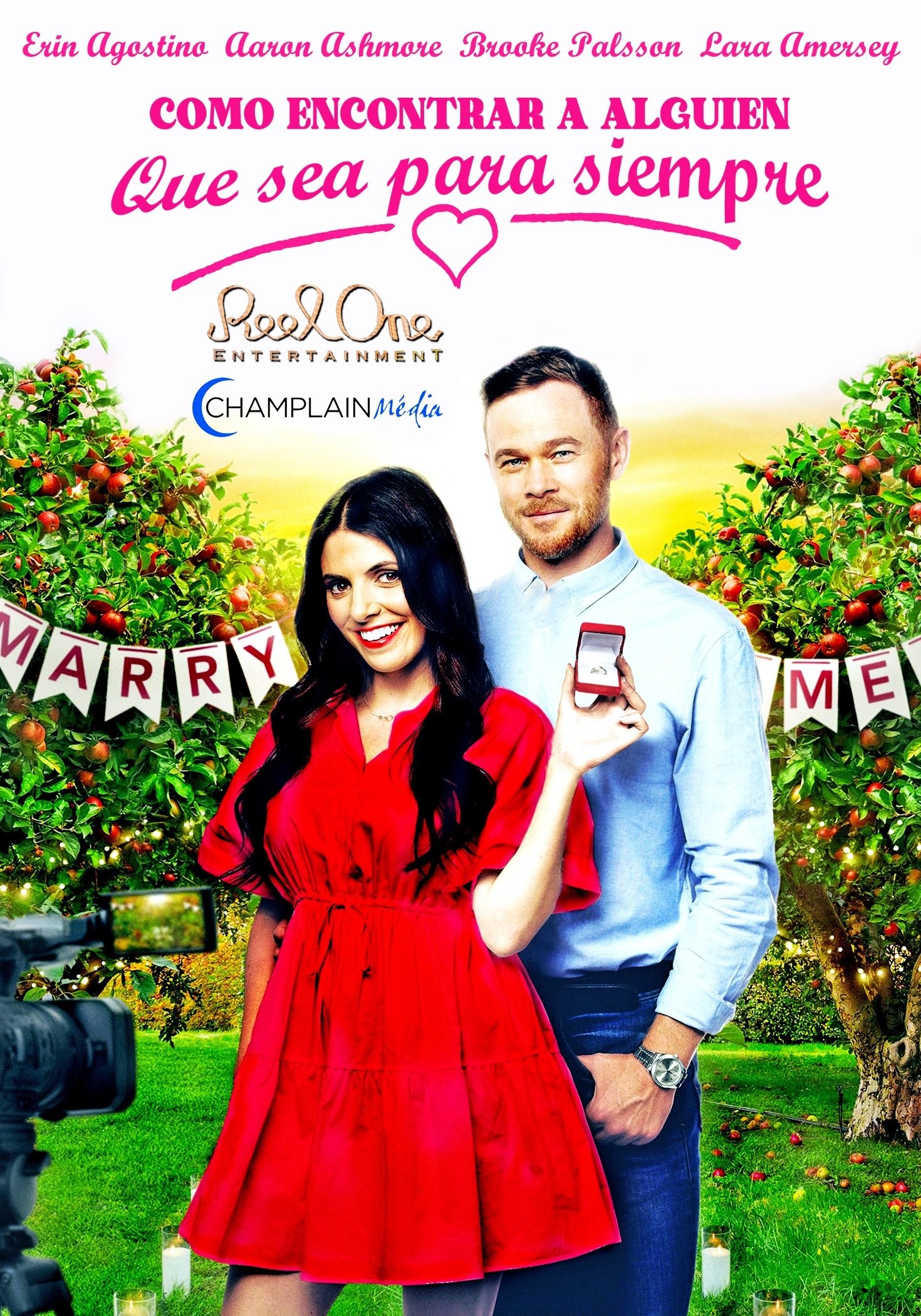 Poster de HOW TO FIND FOREVER en español