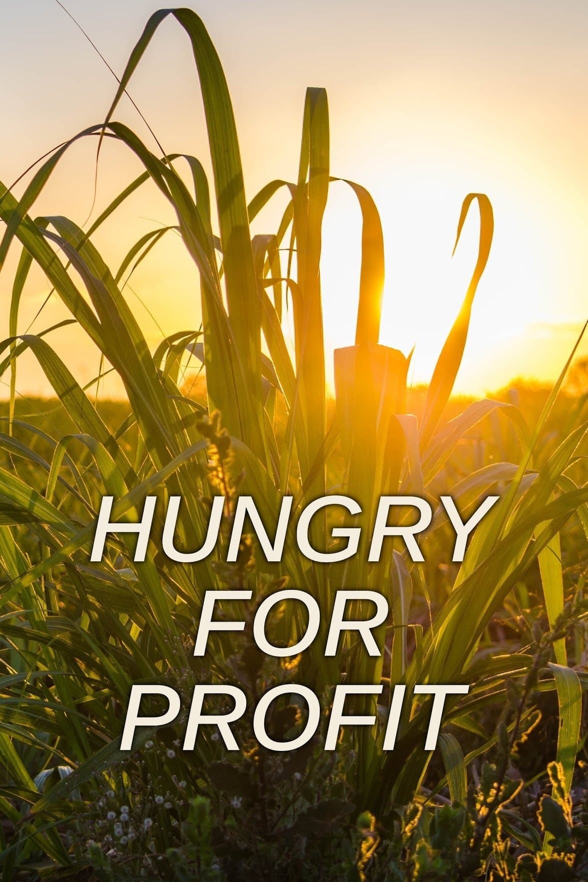 Poster de HUNGRY FOR PROFIT