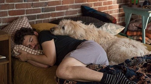 Foto de I LOVE DOGS