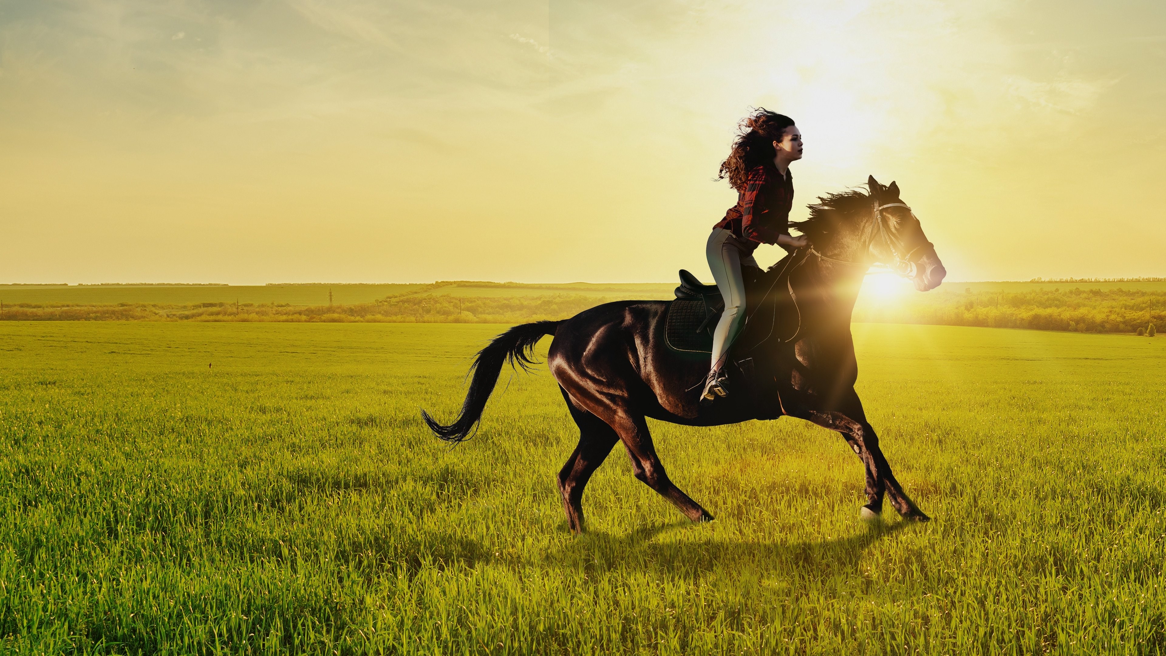 Foto de IF I COULD RIDE