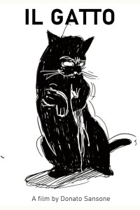 Il gatto