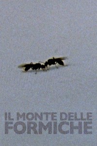 Il monte delle formiche