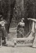 Il trovatore