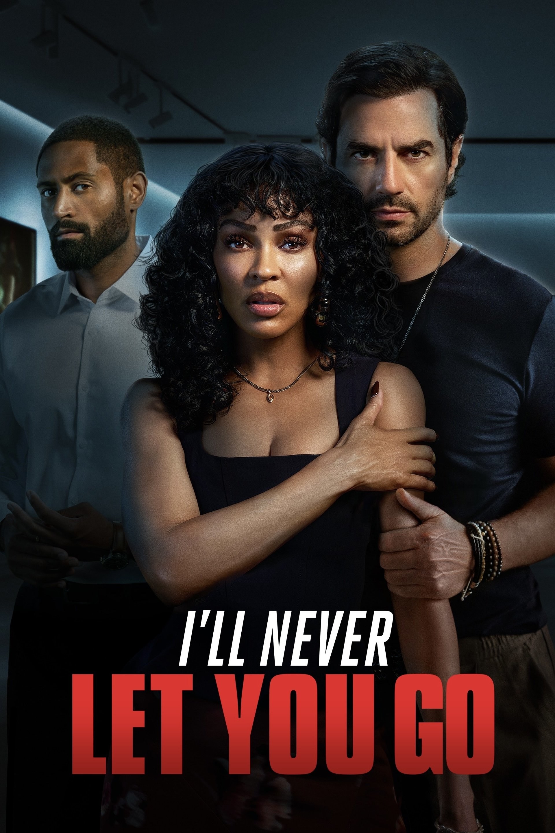 Poster de I´LL NEVER LET YOU GO en inglés