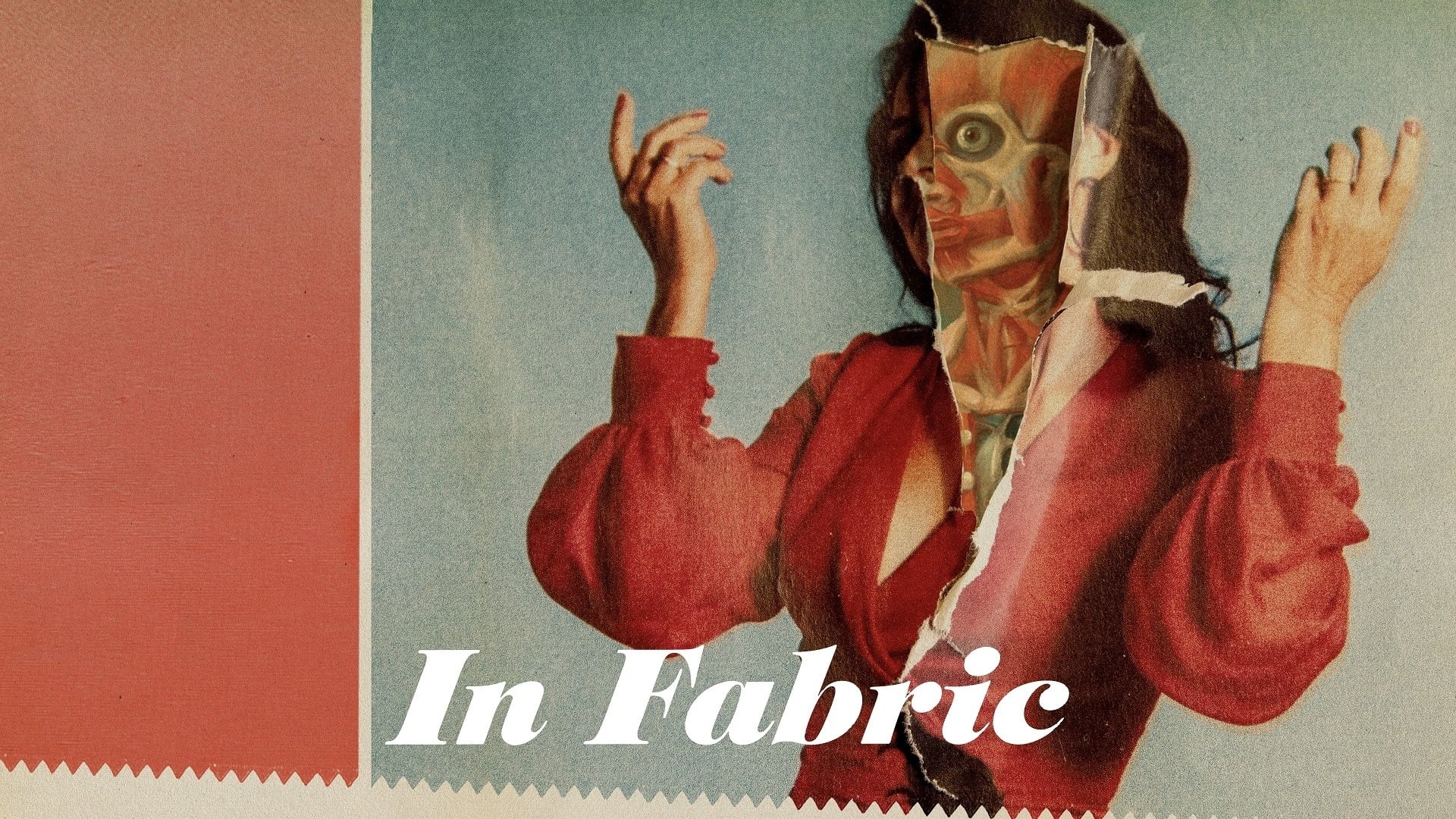 Foto de IN FABRIC