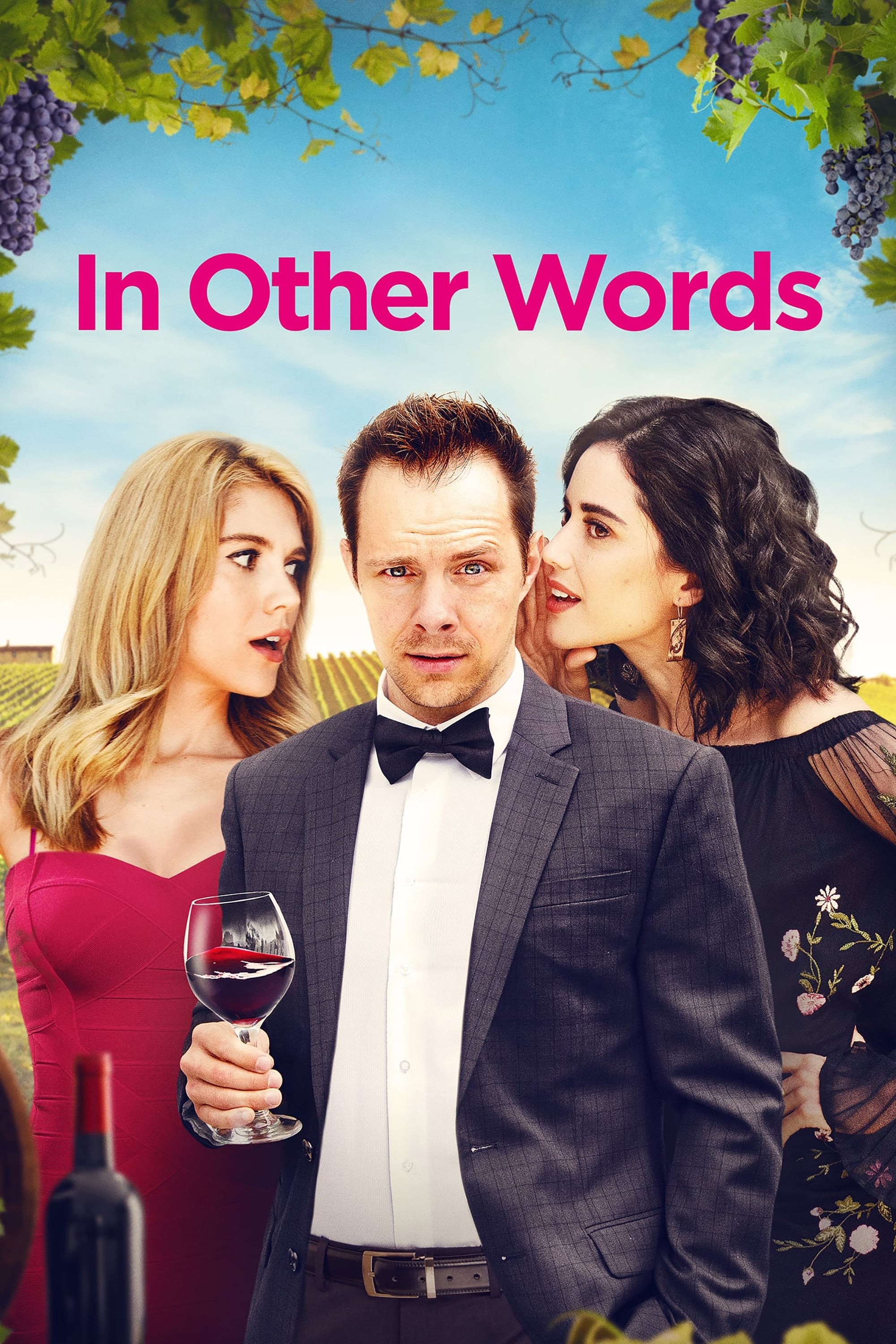 Poster de IN OTHER WORDS