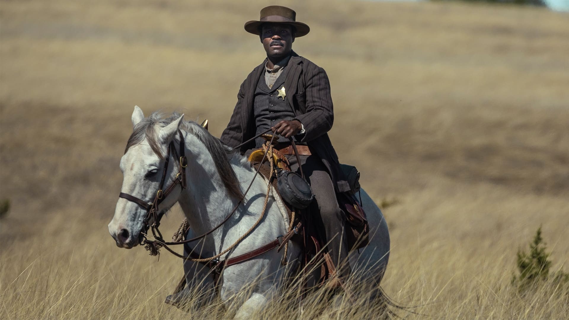 Foto de IN SEARCH OF BASS REEVES
