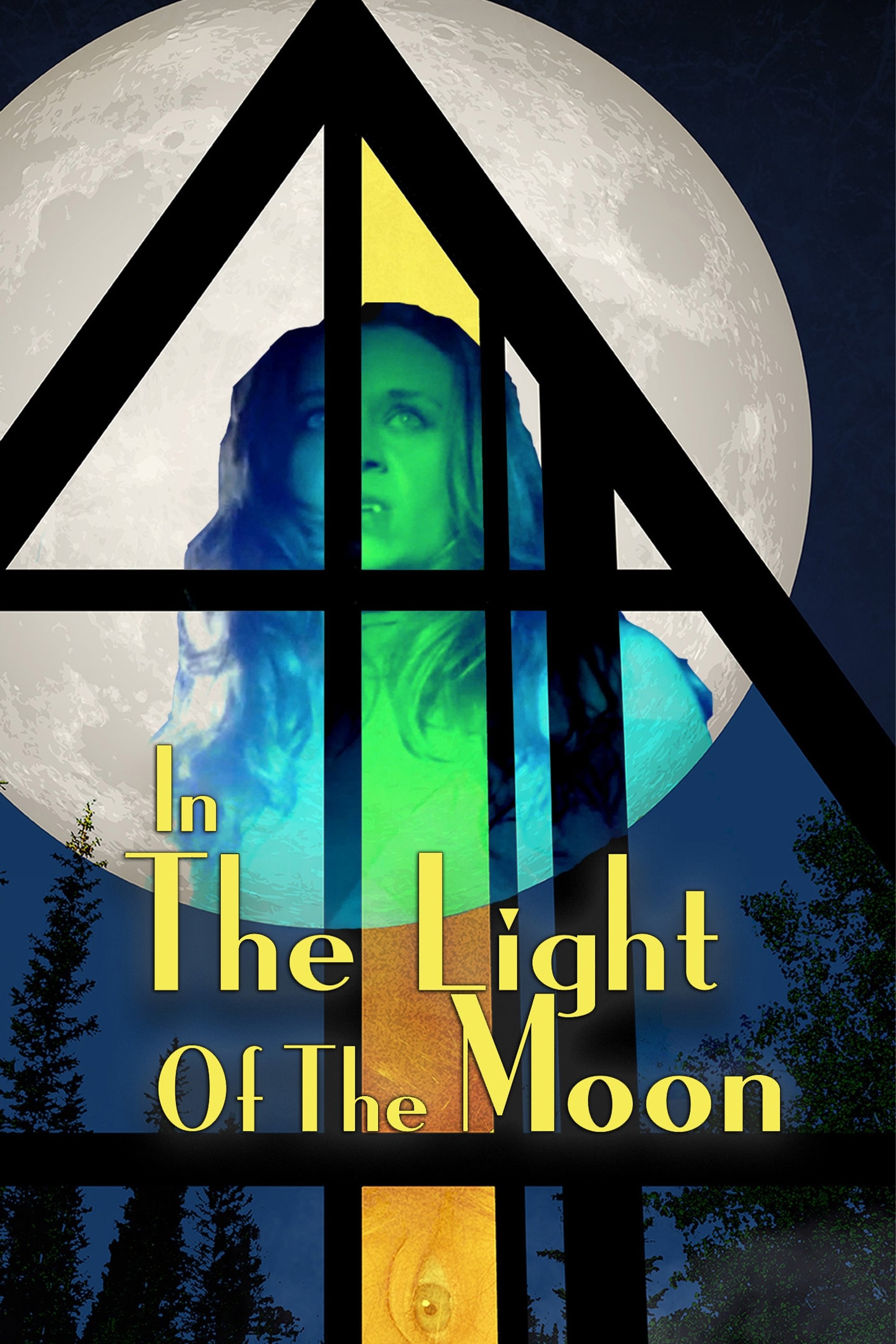 Poster de IN THE LIGHT OF THE MOON