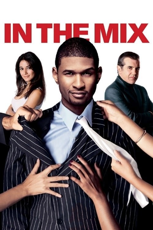 Poster de IN THE MIX en inglés