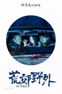 Película In Wild