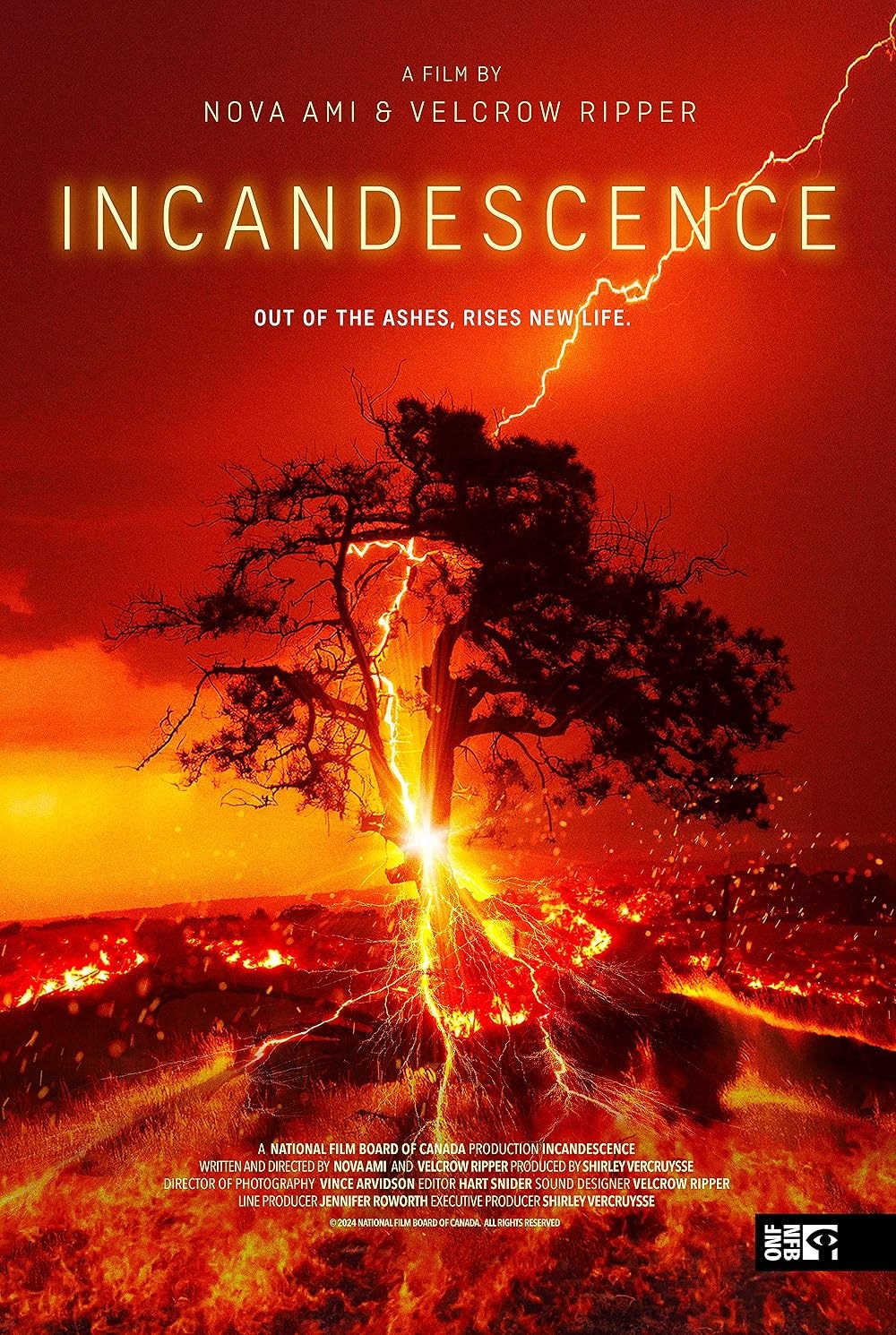 Poster de INCANDESCENCE
