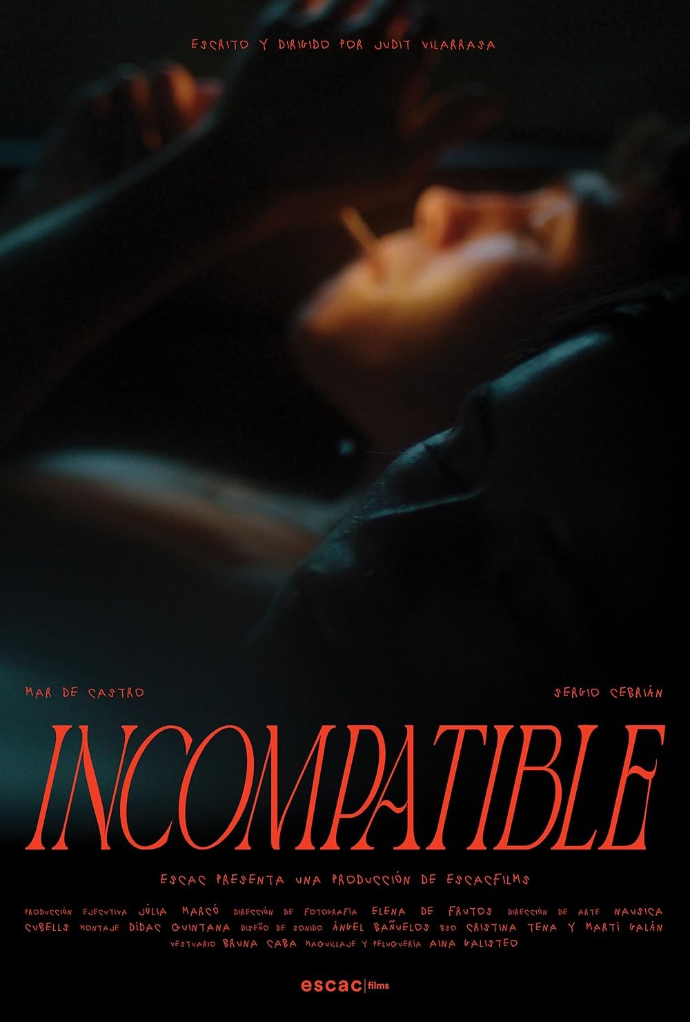 Poster de INCOMPATIBLE