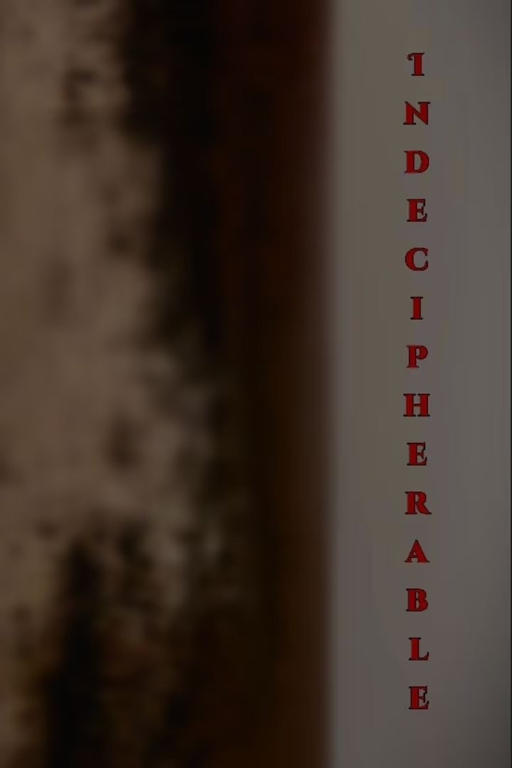 Poster de INDECIPHERABLE