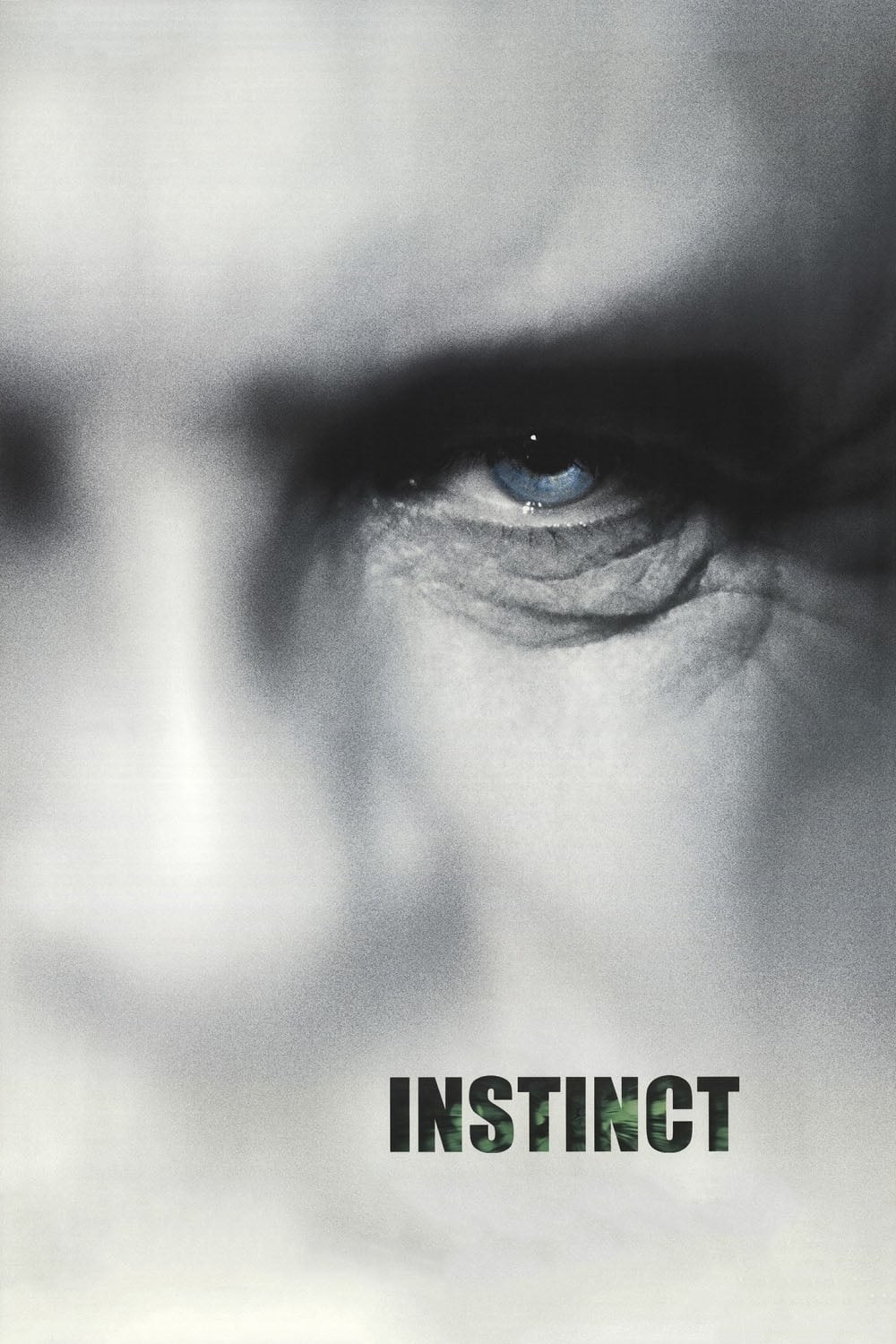 Poster de INSTINTO en inglés