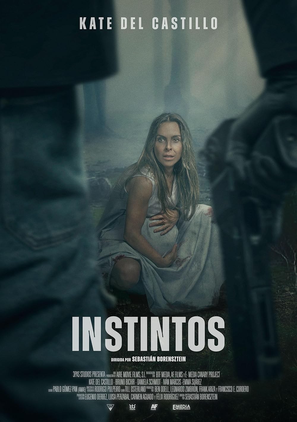 Poster de INSTINTOS