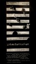 Interferencias