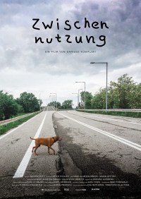 Película Interim Use